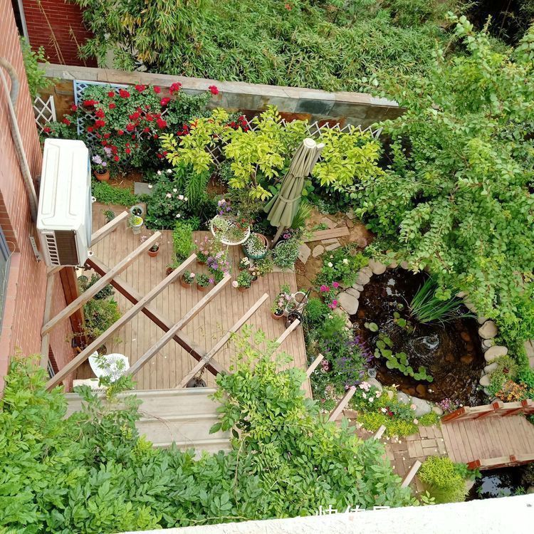 花园改造:3年前买了栋带170㎡花园的房子,过上种花草的乡村生活