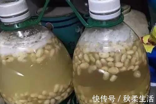 养护|养绿萝，这2种“水”换着浇，叶片油亮巴掌大，根茎能比筷子粗