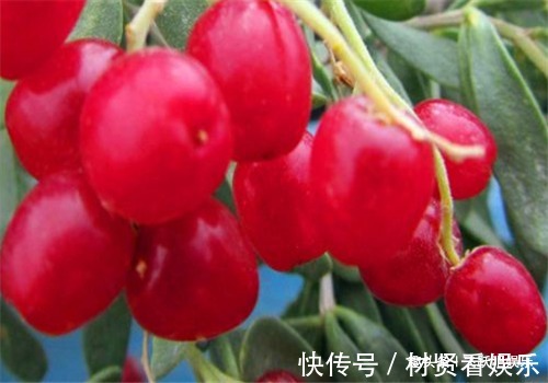 滋阴|立秋之后,推荐女性常吃4种食物,排毒养颜、滋阴护肾,好处多多