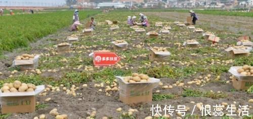 拼多多|拼多多这一电商黑马的闯入，成交额突破4700亿，比刘强东还富590亿