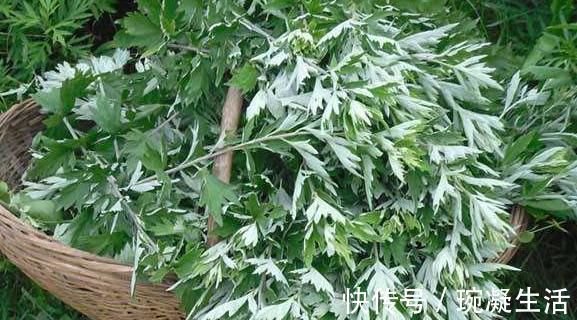 红糖水|天然“泡脚药”被找到，水中加一点温经更通络，养生效果“赞”！