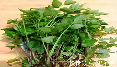 营养物质|会吃的人更健康,3种食物要多吃,补充营养、改善体质