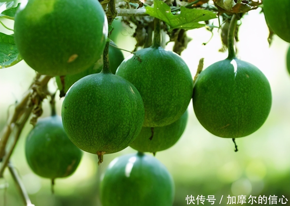 延缓|40岁女性多吃3种食物,美容养生、延缓衰老,好处多多