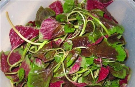 补血益气|以下3种食物女性可常吃，美容养颜，补血益气，提高免疫力