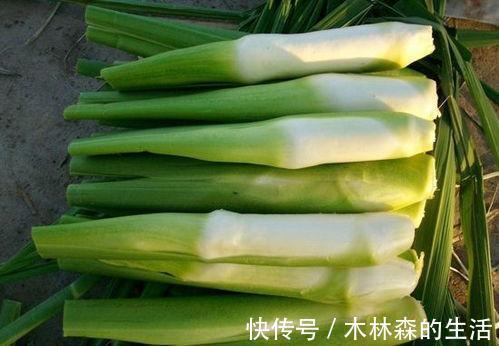 咽喉肿痛|“最受欢迎”的中成药,老中医都爱用,好用又不贵!