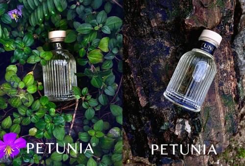 来了来了，设计师们带着香氛走来了！