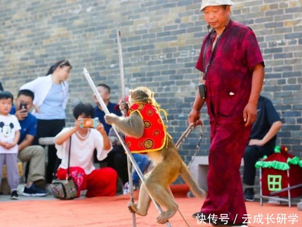 魏集古村落研学旅行|《传承匠艺之道，弘扬传统文化》| a8338