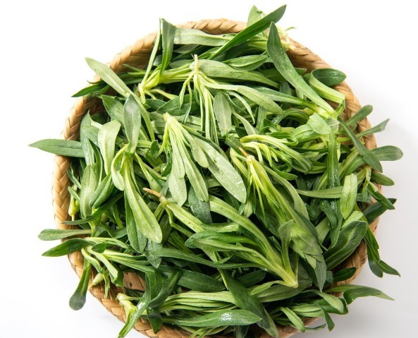 凉拌|65种野菜图片,带你认识不同的野菜和吃法,你想要的野菜这里都有