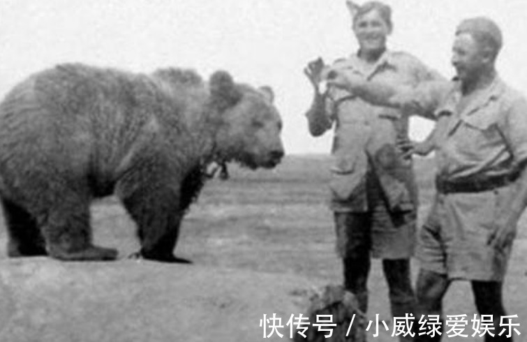 铜雀台赋|夫妻生活多久一次最好?张医生举例说明,简直太形象了!