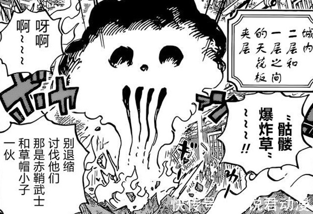 乌索普|海贼王1036话:乌索普生存之道,不轻言放弃生命,不随便抛下同伴