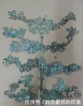  甘谷|甘谷摇钱树首次公开！