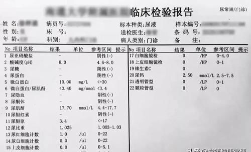 肾小球滤过率|去年体检,今年确诊尿毒症!全因没看懂那张检查报告单