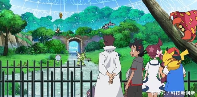 宝可梦剑盾6集菜鸟训练家小豪出道,收服精灵不打全靠扔球!