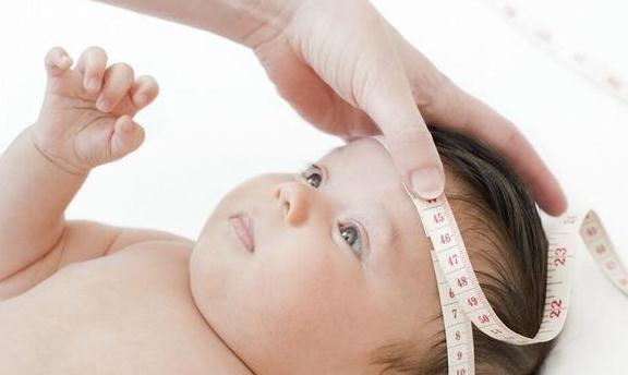 头围|宝宝头围越大越聪明?不是谣言,哈佛大学验证了