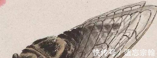 收藏价值@齐白石晚年画了一只“蝉”,为何价值8亿放大数倍后这是画吗