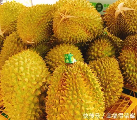 道理|榴莲一年能结400颗果,为何还那么贵?原因在这3点,网友:有道理