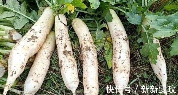 膳食纤维|这个东西要连皮吃,大病小病都不怕,最便宜的才几元一斤