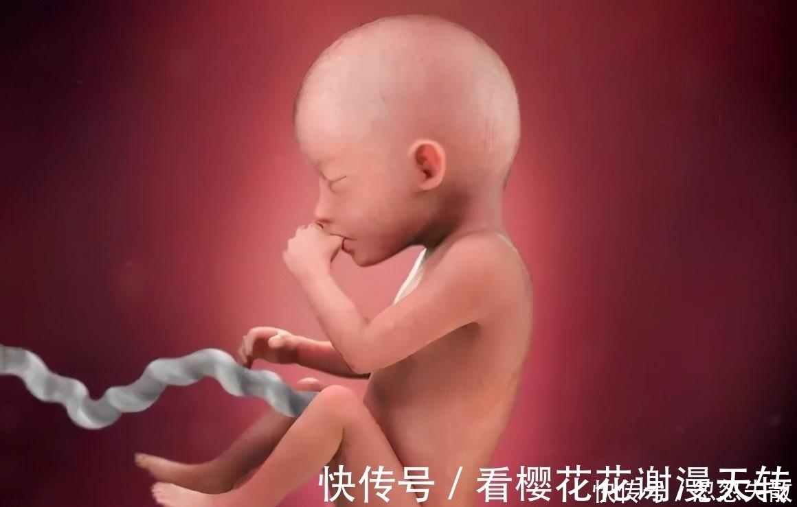 妈妈|胎宝在妈妈肚子里无聊不?是时候告诉孕妈真相了,怪可爱的