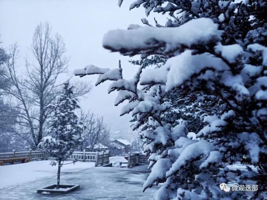 迭部迎来新春第一场雪|新春走基层 |迭部迎来新春第一场雪\＂,\＂i10\＂:\＂新春走基层