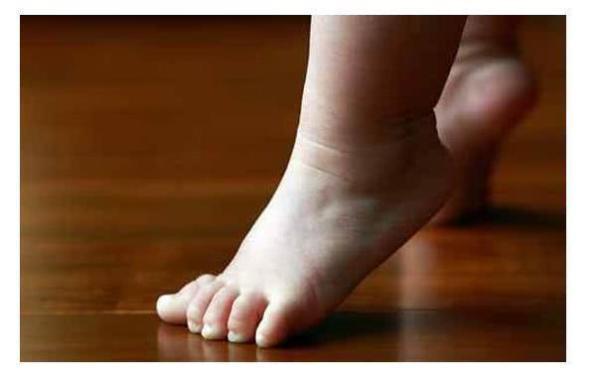 血液循环|每天踮一踮脚尖，教你如何正确踮脚尖！