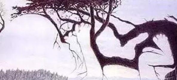  神经细胞|老年痴呆测试6道问题若能全对，恭喜你离痴呆还很远，敢试试