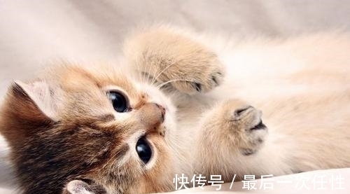 |幽默笑话:大表哥在高速公路收费站工作,想让我一起去上班