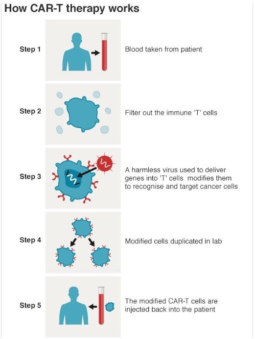 mr1|抗癌“神药”面世可杀死多种癌细胞,还不脱发!将进行人体实验