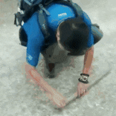 |搞笑GIF:看完这图片后你们还敢做伴娘伴郎不