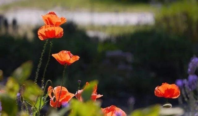 巴结者&人情冷暖,在身份变化中一目了然!