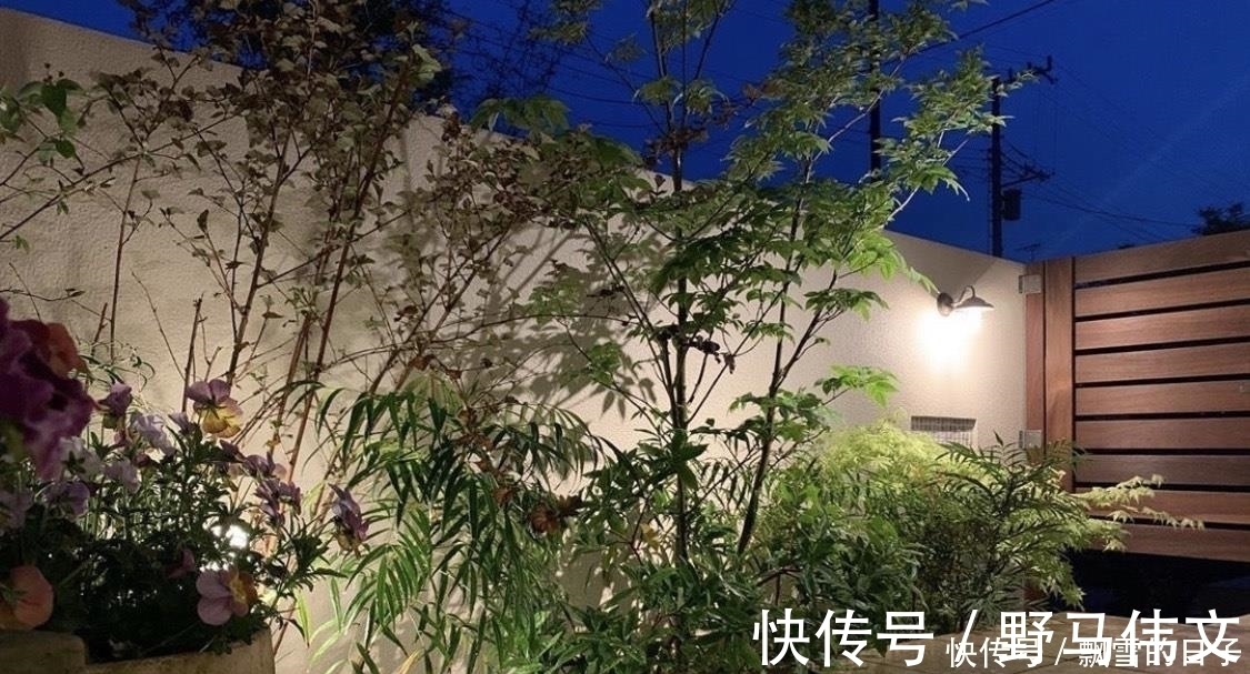 太太|日本太太的精致治愈系之家，全屋干净清爽、一尘不染到令人羡慕！