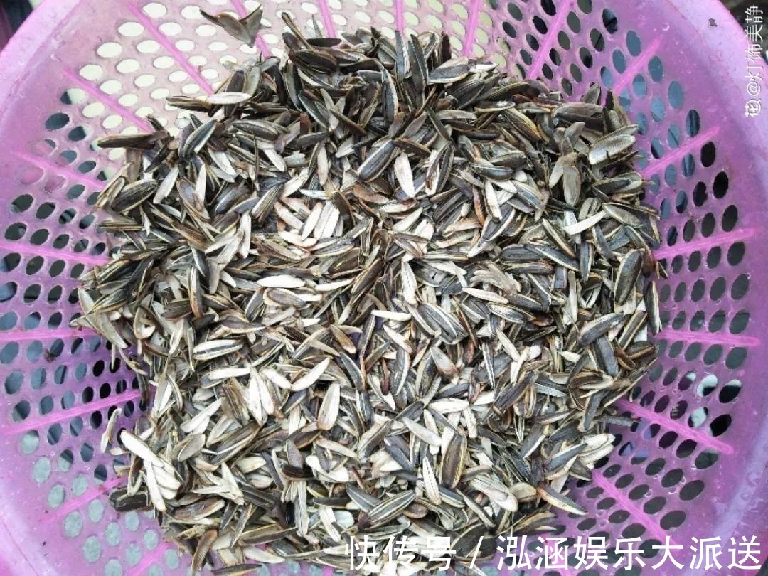 花盆|换盆用它垫盆底，养花效果非常好，花卉越长越旺盛！