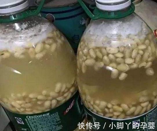 入冬后吊兰,绿萝怎么养,浇上2种水,叶片翠绿,过冬也放心