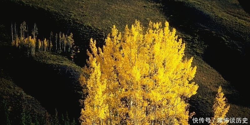 诗人#清风明月正宜人,足以慰风尘,七首唯美宋诗,忘却烦恼只留星辰