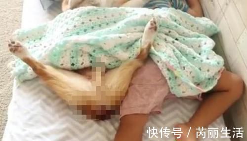 宠物狗|宝妈看女宝午睡有没有踢被子 眼前的一幕让宝妈捧腹大笑！