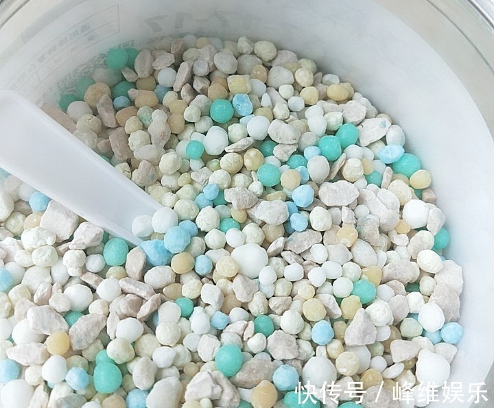 虎皮兰不长新芽,多是犯了3个错误,改正了才能不断冒嫩芽