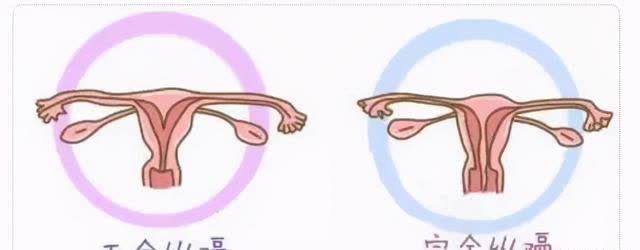 内膜|想怀孕发现子宫内膜薄怎么办?