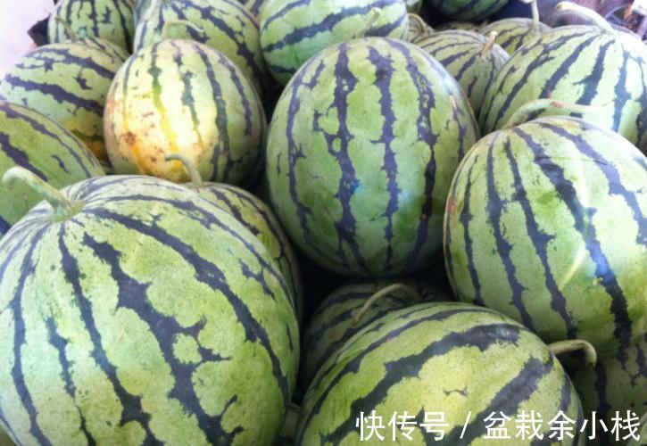 传统|立秋后,“少食1瓜,多吃3果”,老传统别忘记,精神好了睡眠足!
