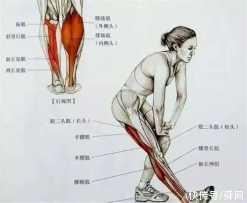 跑步|抻一抻“懒筋”不仅可以减压、放松精神,还对身体大有好处