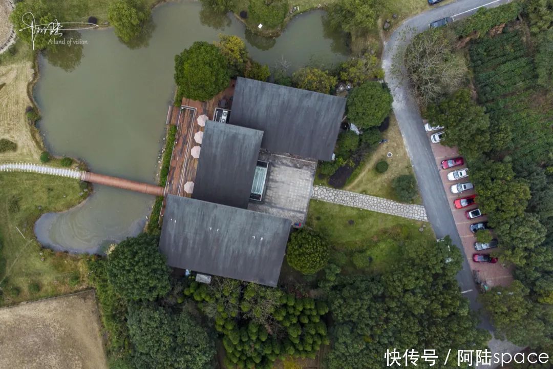 骑马|想体验骑马不一定要去内蒙古,在嘉兴南北湖就可以圆这个梦