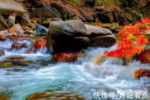 佛坪|魅力陕西行·山色空蒙雨亦奇！秋雨后的佛坪，山幽云雾绕