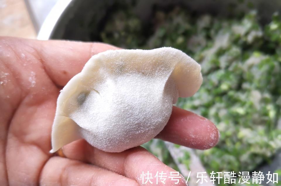 十一假期吃饺子还得这个馅，猪肉牛肉靠边站，用这肉包可太鲜了