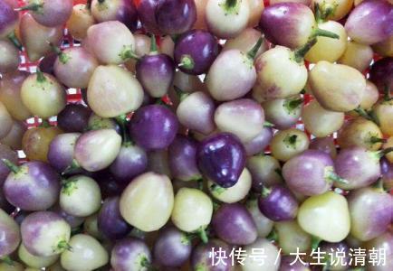 女性|女性不想老得快,常吃此菜,雀斑没了,大肚子平了,越来越年轻