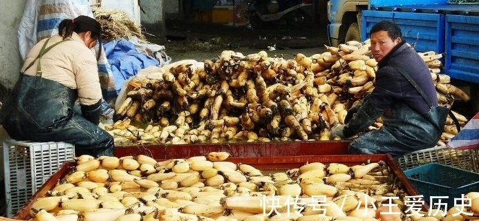 莲子|秋天就要多吃4白3黄,少吃3绿,滋补润肺,去秋燥,顺利度过秋天