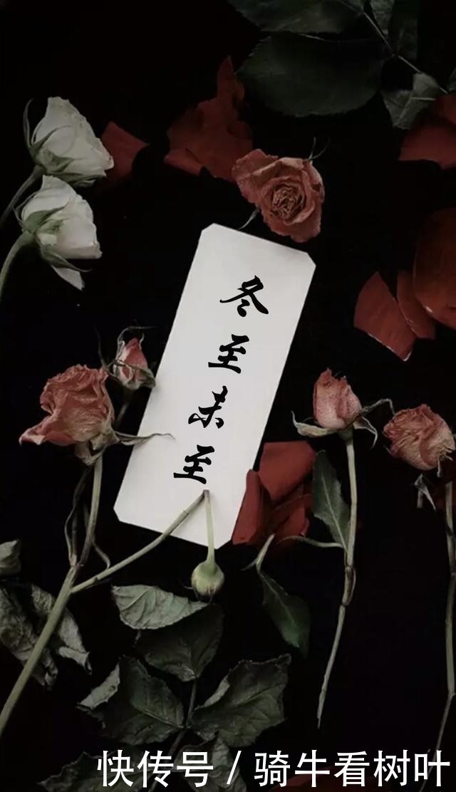 故乡|《冬至未至》：露从今夜白，月是故乡明