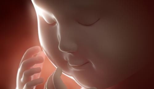 胎儿|孕期有这种体验感，可能是胎儿“智商高”的信号，妈妈偷着乐吧