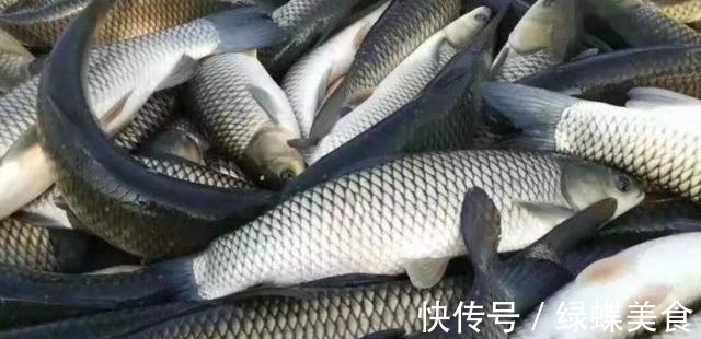 料酒|草鱼5种最好吃的做法，简单美味又下饭，看看你喜欢吃哪种？