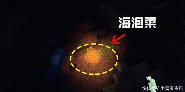 我的世界睁着眼睡觉的村民 水中燃烧的火把来自萌新的疑问 全网搜