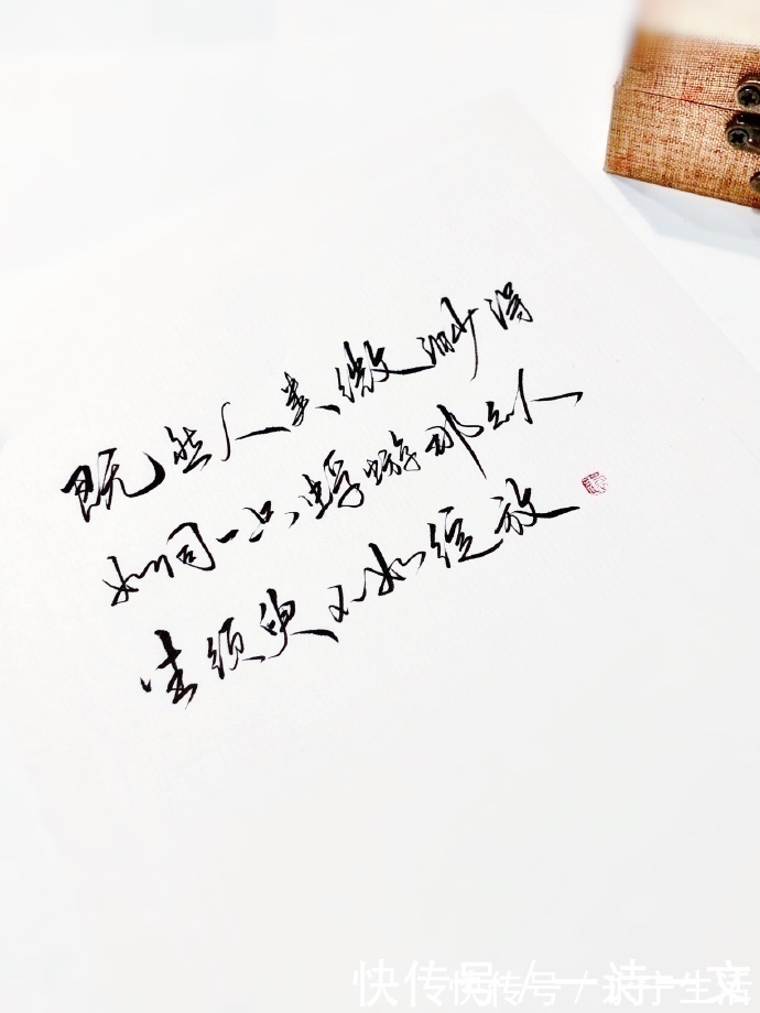 人生|既然人类微渺得如同一只蜉蝣,那么人生须臾,不如绽放