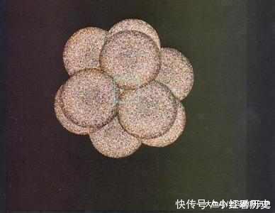 把我们的皮肤放大一亿倍，最后“超乎想象”