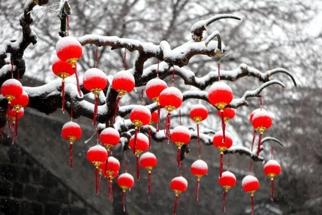 油菜花|春雪漫卷，蓬莱阁的美藏不住了！